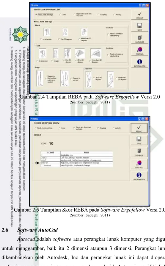 Gambar 2.5 Tampilan Skor REBA pada Software Ergofellow Versi 2.0 