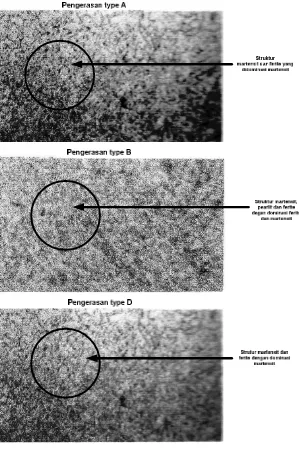 Gambar 4 Hasil Pengamatan Struktur Mikro Permukaan 