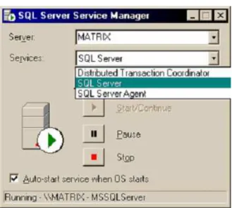 Gambar 2.7 Tampilan Service Manager 