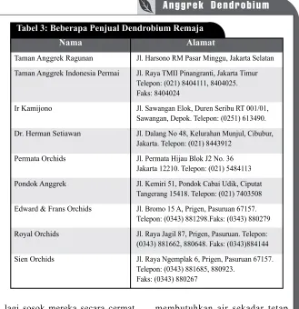 Tabel 3: Beberapa Penjual Dendrobium Remaja