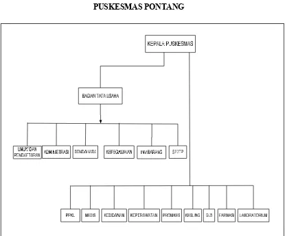 Gambar 3.1. Struktur Organisasi Di Puskesmas Pontang Serang Banten