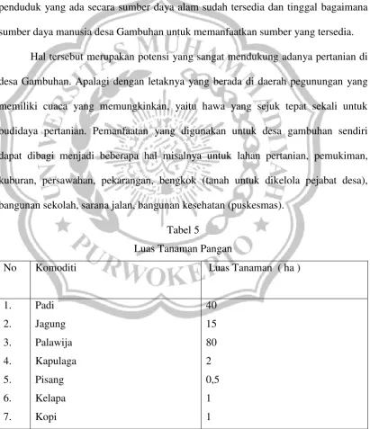 Tabel 5 Luas Tanaman Pangan 