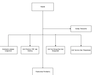 Gambar 3.1. Struktur Organisasi Puskesmas Muka Cianjur 