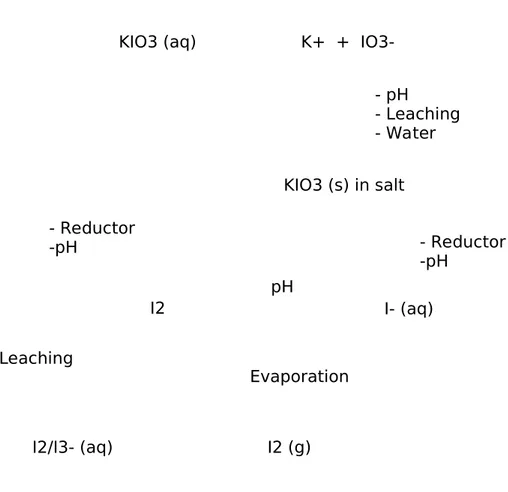Gambar 5. Proses Dekomposisi Iodat menjadi Iodin dan Iodida pada  Garam Beryodium (Cahyadi, 2008)