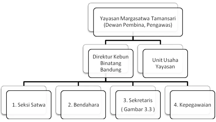 Gambar 3.2 Struktur Divisi Utama Kebun Binatang Bandung 