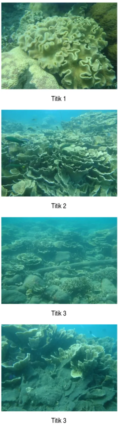 Gambar 3. Perbandingan life form terumbu karang di tiap titik  penelitian. (Acropora Branching), ACT (Acropora 