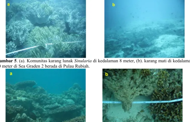 Gambar 6. Komunitas (a) karang massive dan tabulate serta (b) karang bercabang Seriatophora di 