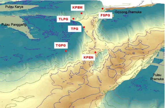 Gambar 11.  Tampilan 3 dimensi profil batimetri di kawasan timur Pulau Panggang  dan Karang Pengantin (KPEN) 