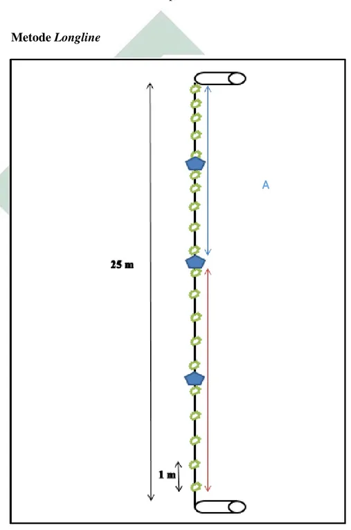 Gambar 3. 3 Desain Metode Longline
