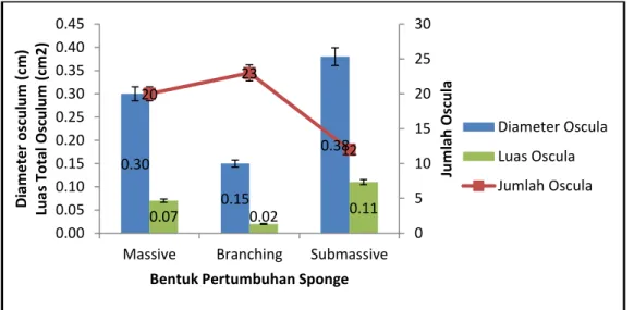Gambar  9.  Ukuran  Diameter,  Luas  dan  Jumlah  Oscula  Pada  Berbagai  Bentuk Pertumbuhan Sponge 