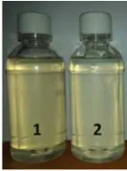 Table 1. The characteristics of cold-sterilized coconut water compared with fresh coconut water