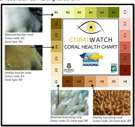 Gambar 10. Sheet pada Coral Health Chart 