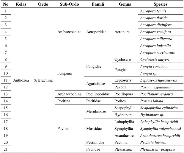Tabel 1. Jenis-jenis Terumbu Karang yang ditemukan di Perairan Pantai Dok II 