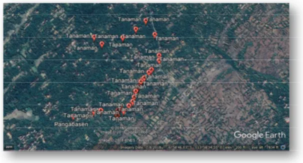 Gambar  1.    Penyebaran  tanaman  siwalan di Dusun  Pangabasen  Desa  Gapura  Timur  (Google  earth,  2018)