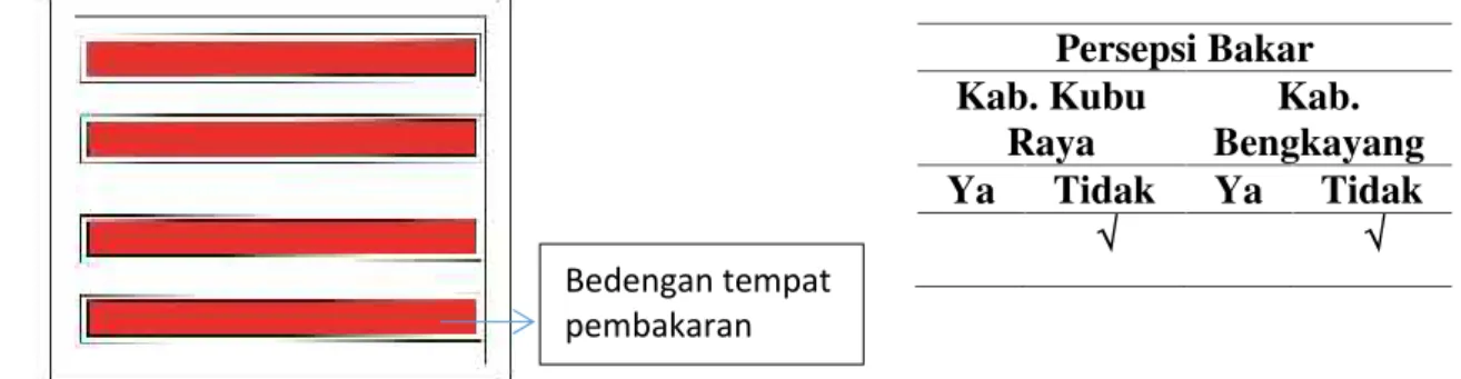 Gambar 7. Pola Bakar Lahan pada Persiapan Lahan untuk Tanaman Palawija (Jagung) c. Pola Bakar, Waktu  Bakar dan Persepsi Bakar Tanaman Hortikultura