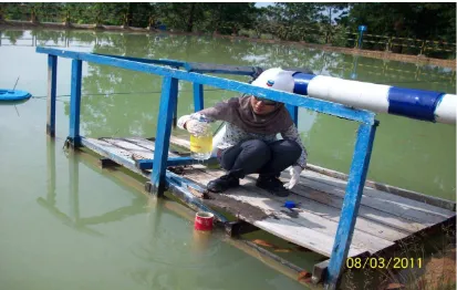 Gambar Lampiran 9. Kondisi Air Sungai Batang Pudu Yang Telah Tercemar Limbah Deterjen Dan Sampah 