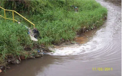 Gambar. Lampiran 11. Pengambilan Sampel Air Sungai Batang Pudu 