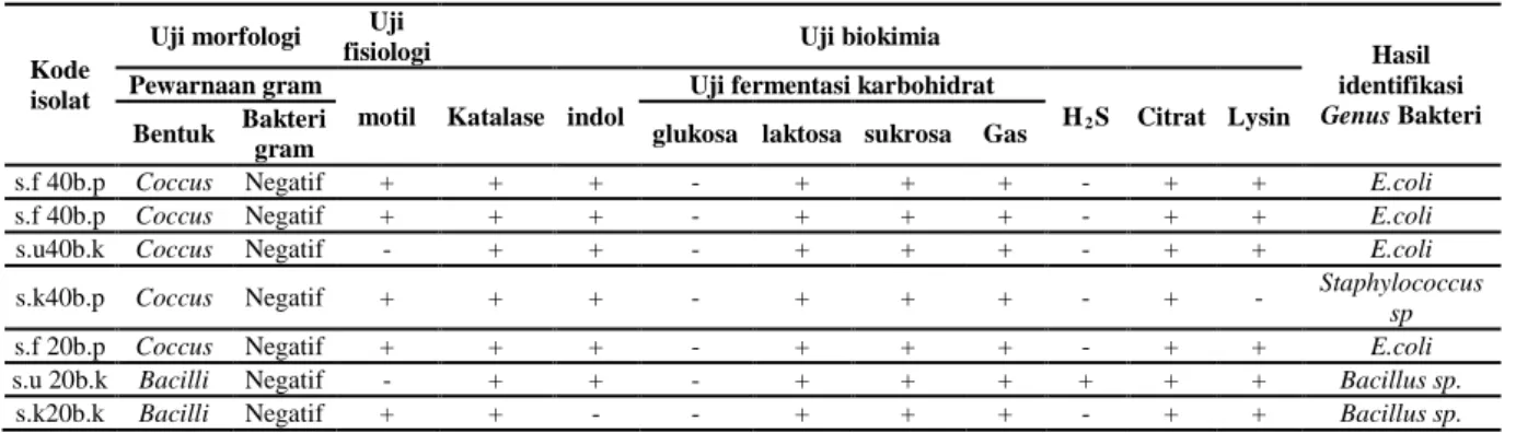 Tabel 3.  Hasil Uji Morfologi, Uji Fisiologi dan Uji Biokimia 