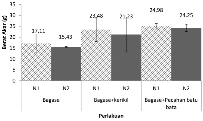 Gambar  4. Histogram berat akar tanaman 