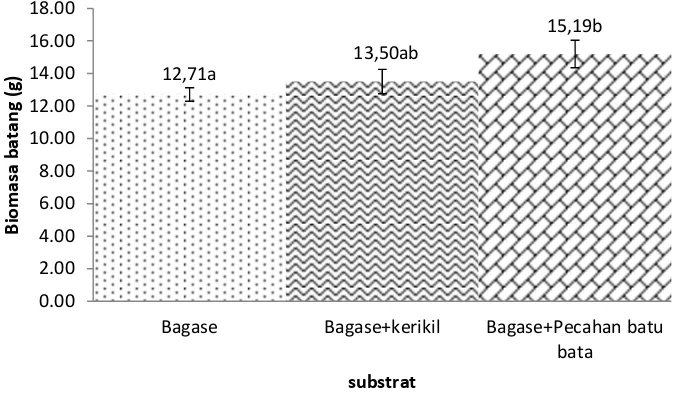 Gambar  11. Histogram pengaruh komposisi substrat terhadap biomassa batang 