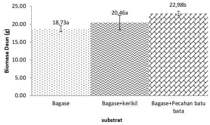 Gambar  12. Histogram pengaruh komposisi substrat terhadap biomassa 