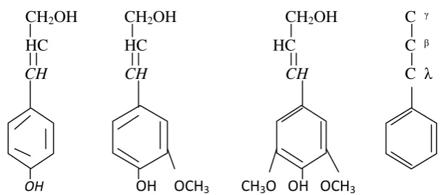 Gambar 3. Satuan Penyusun Lignin 