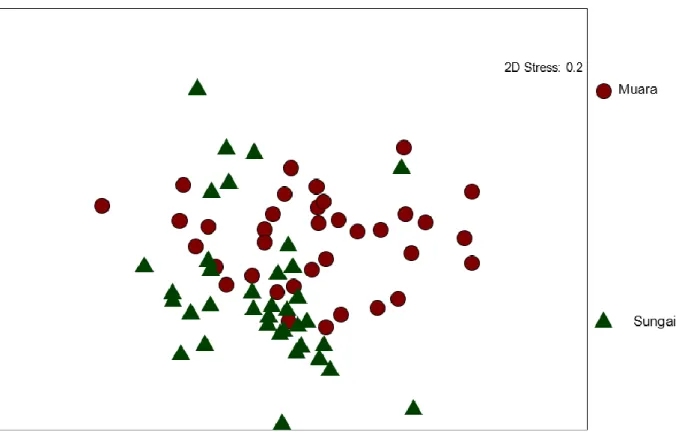 Gambar 12 Plot non Metric Multidimensional Scaling (nMDS) plankton pada lokasi sampling  Tabel 3 Ringkasan hasil analisis multivarians (PRIMER) pada bulan penelitian 