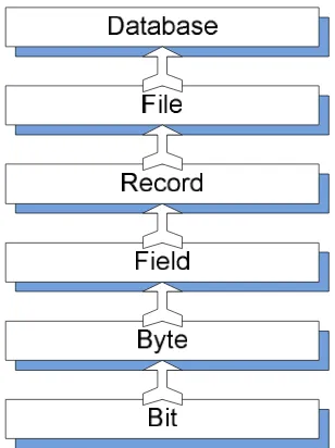 Gambar 2. 4 Hirarki Data Dalam Database 