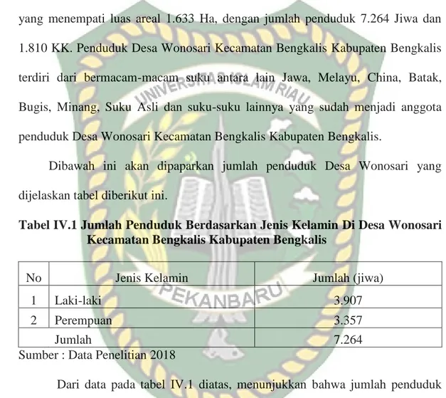 Tabel IV.1 Jumlah Penduduk Berdasarkan Jenis Kelamin Di Desa Wonosari  Kecamatan Bengkalis Kabupaten Bengkalis 