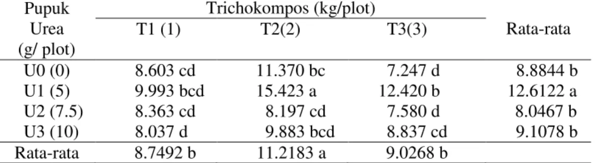 Tabel 3. Berat Segar (g) kailan pada pemberian Trichokompos dan Urea.  Pupuk  Urea  (g/ plot)  Trichokompos (kg/plot)  Rata-rata  T1 (1)          T2(2)        T3(3)  U0 (0)  U1 (5)     U2 (7.5)    U3 (10)     8.603 cd         9.993 bcd      8.363 cd      8