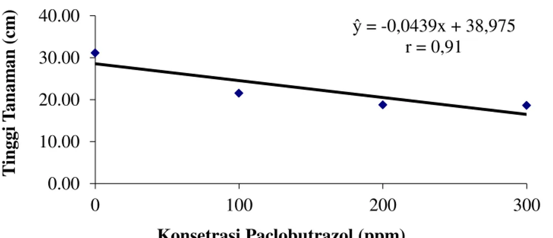 Gambar  1.  Grafik  pertumbuhan  panjang  tanaman  (cm)  9  MST  pada  perlakuan  konsentrasi  paclobutrazol  
