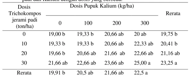 Tabel 3.  Jumlah  umbi  bawang  merah  (umbi)  setelah  diberi  Trichokompos  jerami  padi dan Kalium dengan dosis yang berbeda