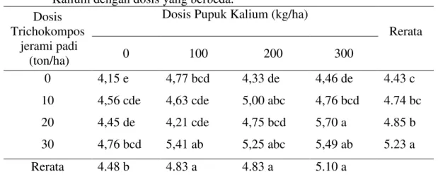 Tabel 5.  Lilit  umbi  bawang  merah  setelah  diberi  Trichokompos  jerami  padi  dan  Kalium dengan dosis yang berbeda