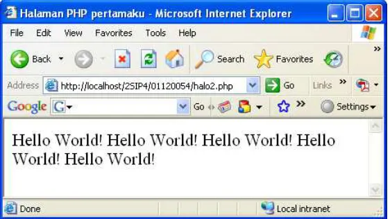 Gambar 2.2 Hasil Eksekusi Script halo2.php 