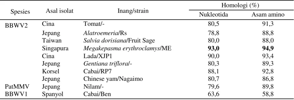 Tabel 4. Homologi runutan nukleotida dan asam amino gen scp BBWV2 Manoko dengan beberapa anggota genusFabavirus