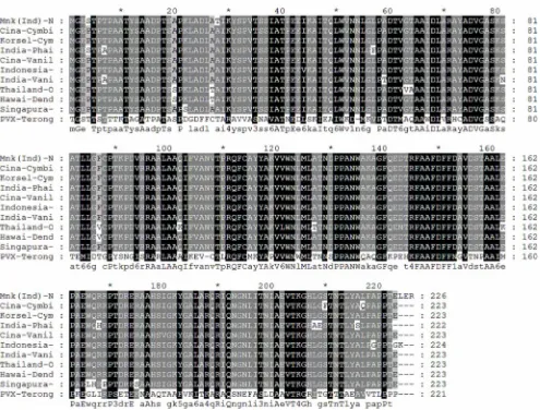 Gambar  4. Hasil alignment asam amino antara genom CymMV isolat Manoko dengan nukleotida genom- genomCymMV yang didapatkan dari database GeneBank; keterangan: latar belakang warna hitammenunjukkan kesamaan runutan nukleotida antar isolat, sedangkan warna a