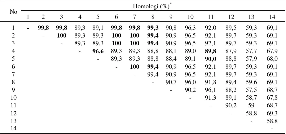 Tabel 2. Hasil BLAST runutan nukleotida isolat BCMV dan persentase homologinya dengan isolat BCMV dariGenBank