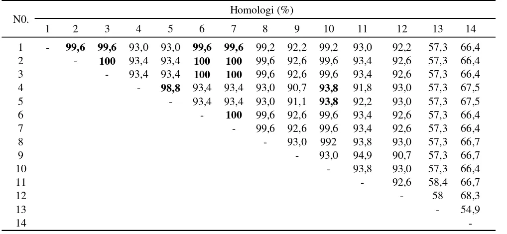 Tabel 4.  Homologi asam amino dengan BCMV asal negara lain