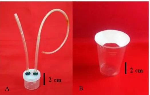 Figure 1. Aspirator (A) and cup trap (B) for collecting adult planthoppers.