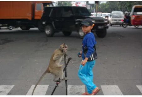 Gambar II.3.1 Foto Pertunjukan Topeng Monyet di persimpangan Jalan Kota Bandung Sumber : Dokumentasi Pribadi