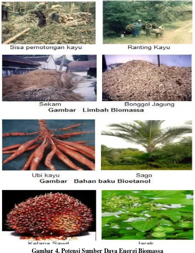 Gambar 4. Potensi Sumber Daya Energi Biomassa 