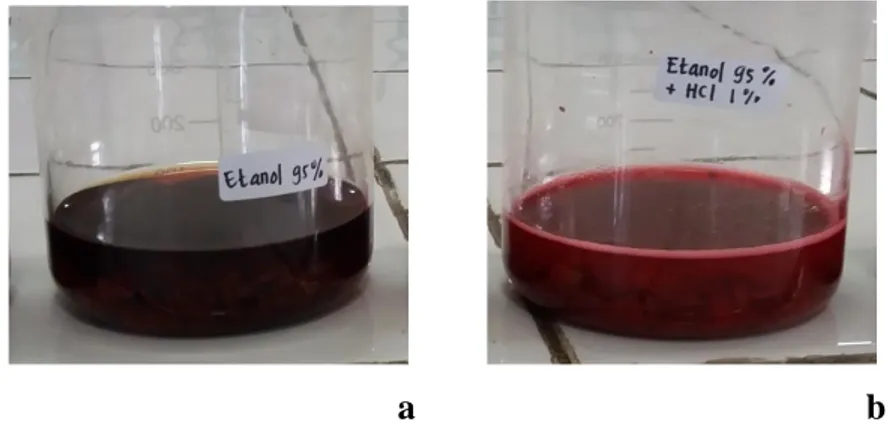 Gambar 1. Hasil ekstraksi kulit buah manggis dengan pelarut  (a) etanol 95% dan (b) etanol 95%+HCl 1%