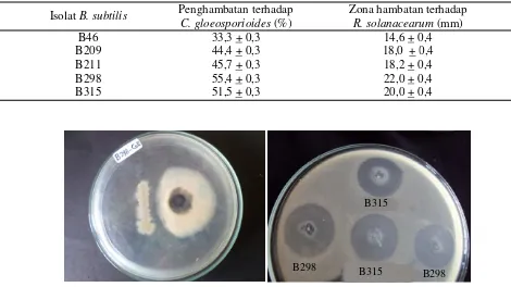 Tabel 3. Penghambatan B. subtilis terhadap jamur dan bakteri patogen
