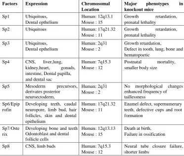Table 1. Expression pattern of Sp transcription factors in vertebrate embryos 9  
