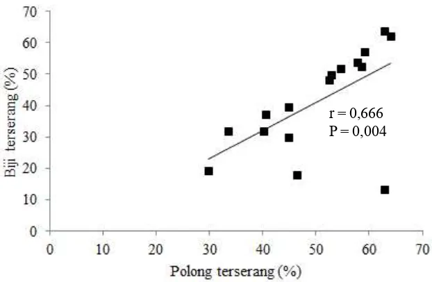 Gambar 1. Keeratan hubungan antara polong terserang (%) dengan biji terserang (%) pengisap polong pada 16genotipe kedelai