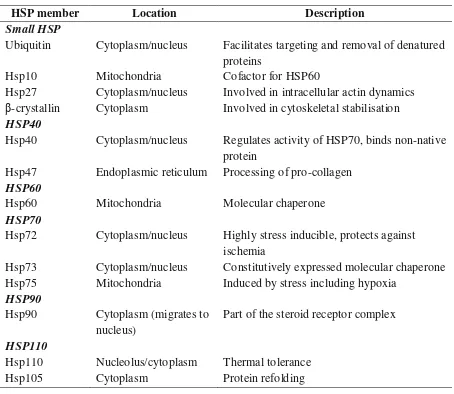 Table 1.  Key members of the heat shock protein family in humans (2,4,6)