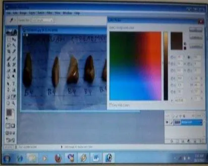 Figure 2. Dental colour analyzed by CIE-