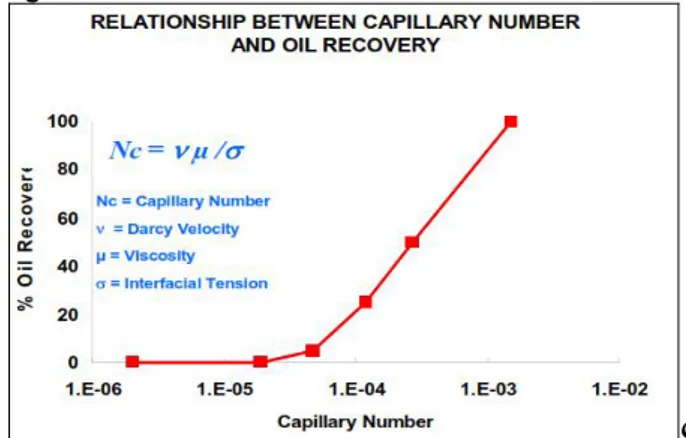 Gambar 1. Pengaruh capillary number terhadap 