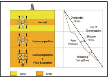 Gambar  1.    Respon  tekanan  efektif  terhadap  nilai  tekanan  pori  berdasarkan  jenis  penyebab  overpressure