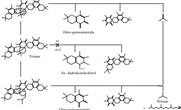 Gambar 2.16 Degradari trimerik oksidasi pada sedimen anoksik (Rotani,2010)